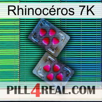 Rhinocéros 7K 15